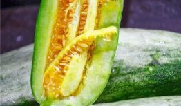 什么是网红的吃瓜视频,娱乐与八卦的完美融合